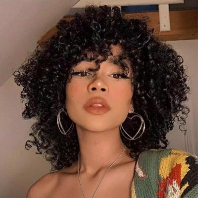 China Jerry Curl Pixie Cut Brazilian Curly Bob Kinky Curly Hair Wigs Short Curly Hair Wigs Jerry Curl Hair Wigs Hot Sell Best for sale