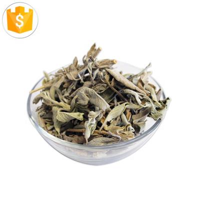 China OEM dry daun sage hojas secas de salvia kering good quality dry sage leaves for sale