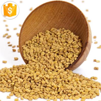 China OEM Factory Price Dry Wholesale Bulk Natural Organic Fenugreek Seeds of Trigonella foenum-graecum for sale for sale