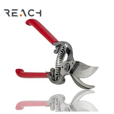 China Steel Forged Classic Bypass Pruner Garden Scissors With 1 Inch Cutting Capacity for sale