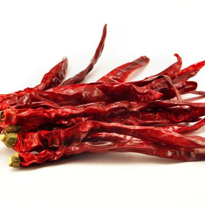 China 100% Pure Red Pepper Chinese Factory Export Hot Spicy Chili Dried Red Chili Pepper Wholesale Direct Competitive Price for sale