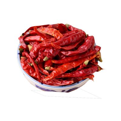 China 100% Pure Red Pepper Indian Devil Pepper s17 King Dried Chili Super Spicy Indian Pepper Devil's Pepper 500g Wholesale for sale