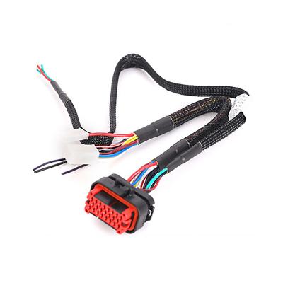 China Motorcycle OEM ODM ECU Plug Automotive Custom Process Wire Harnesses Automotive Wire Harnesses for sale