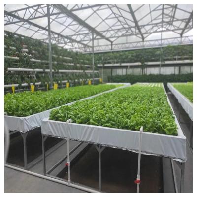 China Vegetable Fruits Flowers Planting 2020 Commercial Agricultural Dft Pvc Pipe Hydroponics Growing System for sale