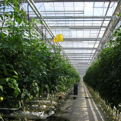 China Vegetable Fruits Flowers Planting High Quality Low Cost Substrate Hydroponic For Planting Eggplant/tomato for sale