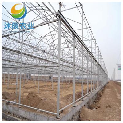 China Vegetable Fruits Flowers Planting Agricultural Green House Strawberries Greenhouse Multi-span Plastic Film Greenhouses With Hydroponic Systems for sale