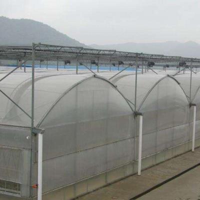 China Vegetable Fruits Flowers Planting Agricultural Greenhouses Hydroponics Growing Vegetables Multi-span Plastic Film Tunnel Greenhouse Invernadero for sale