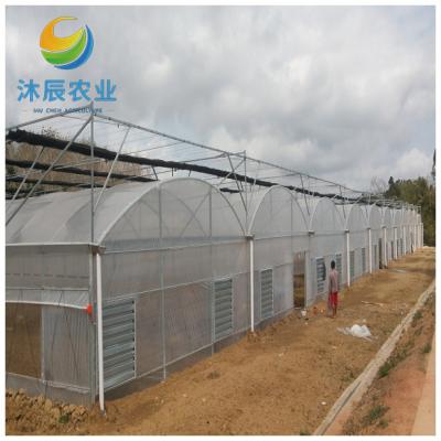 China Vegetable Fruits Flowers Planting Agricultural Greenhouses Multi-span Plastic Film Tunnel Greenhouse With Nft Hydroponics System For Lettuce Salad for sale