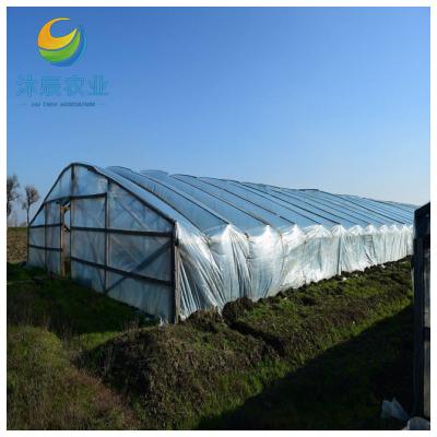 China Vegetable Fruits Flowers Planting Agricultural Multi-span Arched Film Vertical Hydroponic System Strawberry Greenhouse for sale