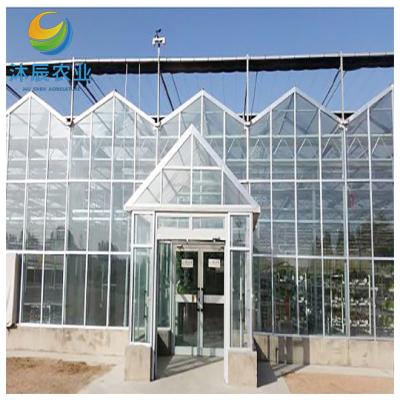 China Vegetable Fruits Flowers Planting Agriculture Multispan Greenhouse Venlo Glass Greenhouse Commercial Greenhouse For Cultivation for sale