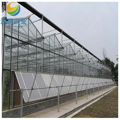 China Vegetable Fruits Flowers Planting multi-span low cost Large agricultural glass greenhouse for sale