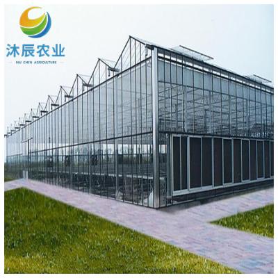 China Vegetable Fruits Flowers Planting multi-span cheap large glass aquaponics smart greenhouse for sale