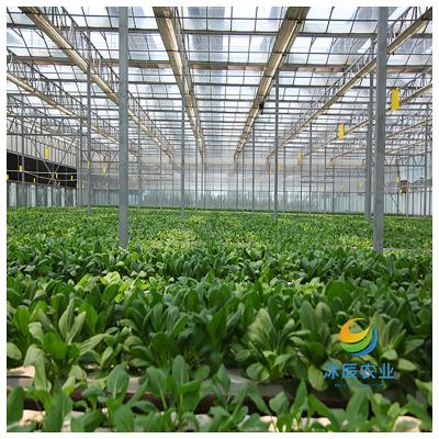 China Vegetable Fruits Flowers Planting multi-span cheap large glass agriculture greenhouse for sale