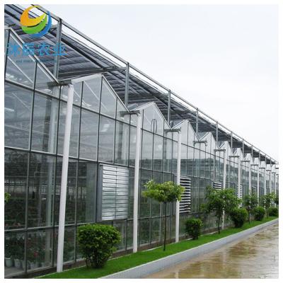 China Vegetable Fruits Flowers Planting large cheap agricultural glass multi-span greenhouse for sale