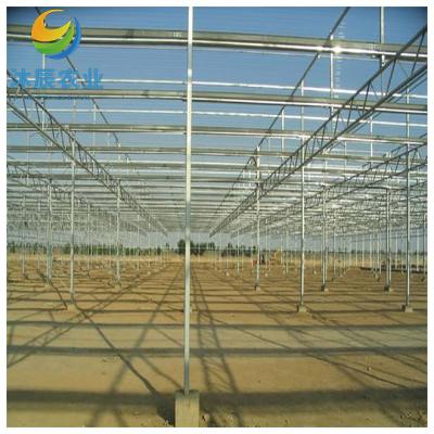 China Vegetable Fruits Flowers Planting cheap multi-span strawberry large glass greenhouse farming for sale