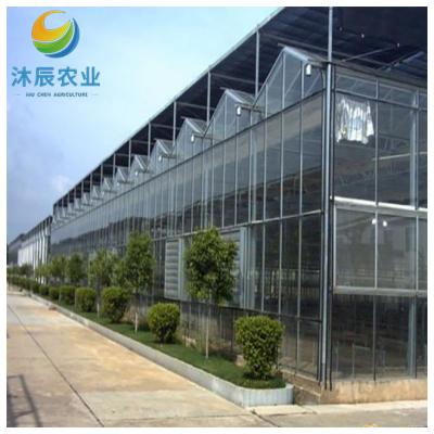 China Vegetable Fruits Flowers Planting cheap multi-span shading system large glass greenhouse for sale