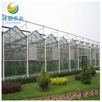 China Vegetable Fruits Flowers Planting cheap multi-span photovoltaic large glass greenhouse for sale