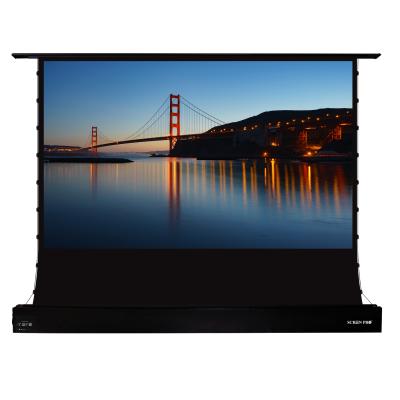 China SCREEN PRO 135 Inch Electric Motorized ALR Floor Rising Projection Screen For UST VAVA 4K Laser Projectors for sale