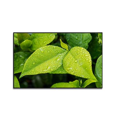 China Ambient Light Rejecting 150 Inch ALR Screen For Ultra Short Throw Screen Fabric Projector Screen 4k for sale