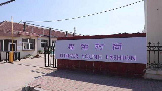 Verified China supplier - Qingdao Forever Young Accessories Co., Ltd.