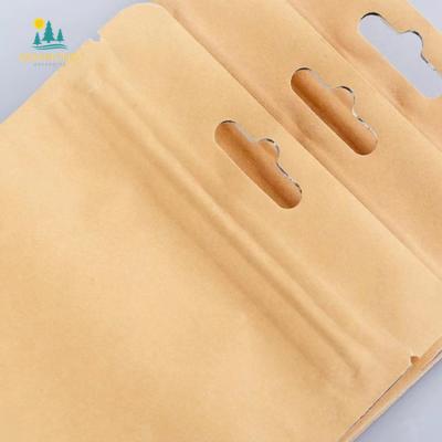 China Aseptic Customized Heat Seal Zipper 1kg 2kg 10kg 15kg 25kg 50kg Food Grade Multiwall Resealable Paper Bags for sale