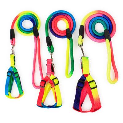 China New Products Safety Viable Selling Colorful Cheap Colorful Best Leash For Dog for sale