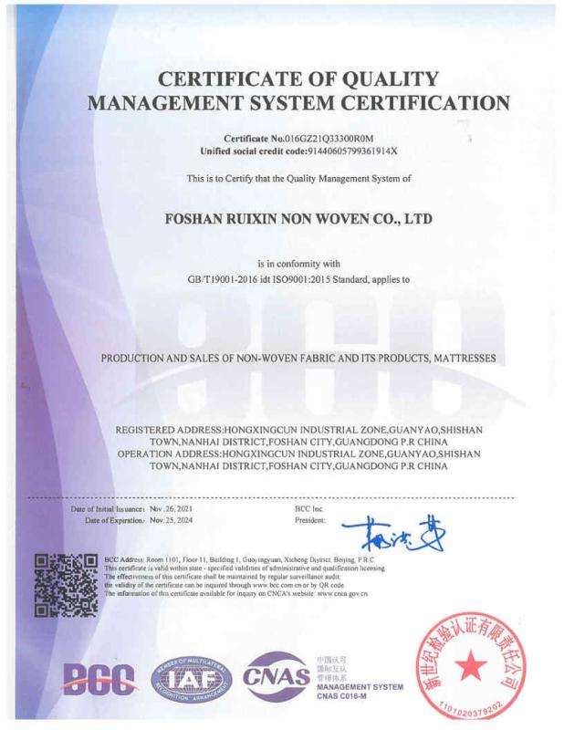 ISO9001 - Foshan Ruixin Non Woven Co., Ltd.