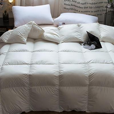 China Home Wholesale Hot Selling Luxury Hotel Soft Goose Double Bed Quilt for sale