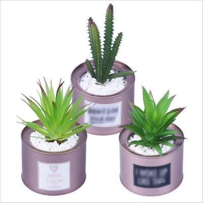 China Eco-Freindly Makers Supply Simulation Tin Bucket Potted Succulent Plants, Rose Gold Succulent, Creative Home Interior zu verkaufen