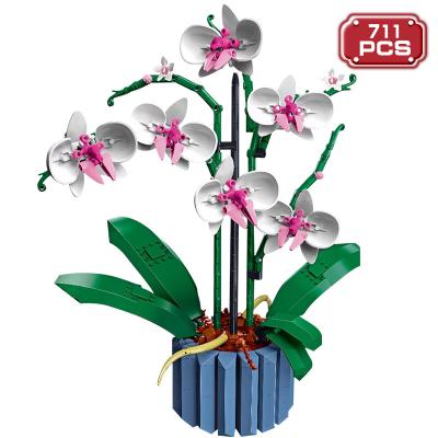 China Legoingly Building Toy Ideas Flower Bouquet Building Block Series Bonsai Orchid Diy 10311 Home Assembly Decor Bricks Moc Toys Gifts for sale