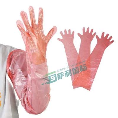 China Wholesale Working Veterinary Gloves For Pigs Cattle Sheep Animals Obstetrics Inspection Household Long Arm Gloves Free Size for sale