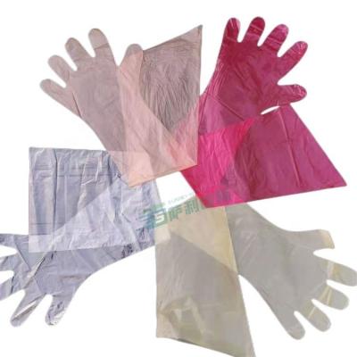 China Wholesale Price Custom Vet Arm Sleeve Long Plastic Gloves For Cow Goat Care Free Size for sale