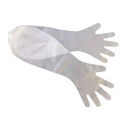 China Durable Catering Household Works Kitchen Gloves Food Grade CPE/PE Extended Arm Pe/cpe Gloves Waterproof Long Gloves for sale