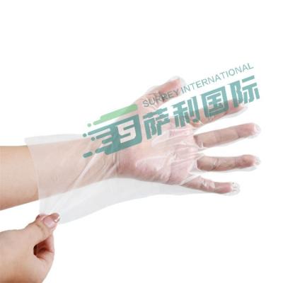 China Good Quality Cpe Tape HDPE Food PE Disposable Clear Polyethylene Waterproof Gloves for sale