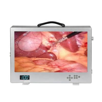 Chine Full Metal HD 3 in 1 Endoscopy Ear Ear Camera with LED Light Source Monitor à vendre