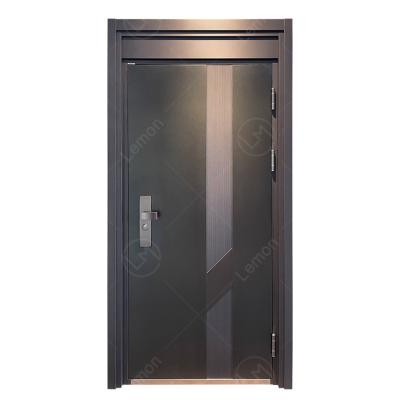 China Modern Top Quality Gray Single Door Anti Theft Lock Systems Security Door High End Design for sale