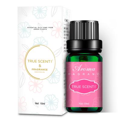 China Viable Hot Selling 10ml Wholesale Air Freshener Fragrance Oils for sale