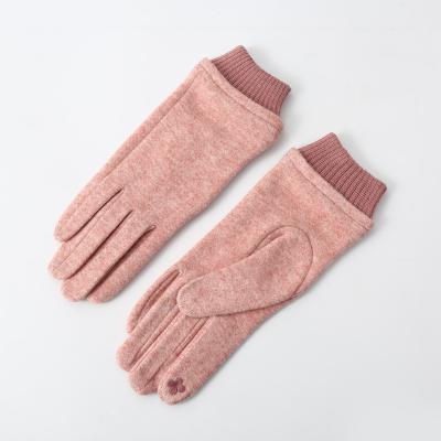 China Four Seasons OEM Customized Ladies Classic Colors Wool Knitted Free Sample Gloves for sale