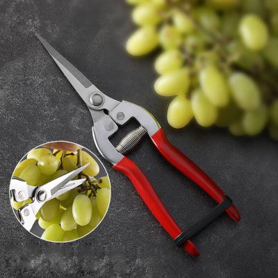 China Anti-Slip Handle Flower Cutting Stainless Steel Pruning Garden Branch Shears Scissors for sale