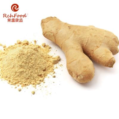 China Chinese Factory High Quality Dry Fresh Ginger Powder for sale