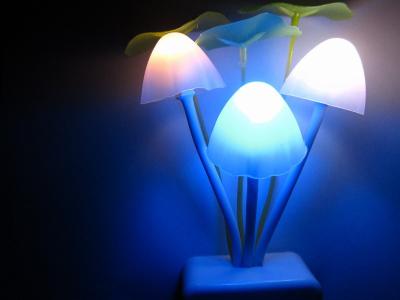 China Colorful LED Night Light/ kids led night lamp/ night lighting wholesale for sale