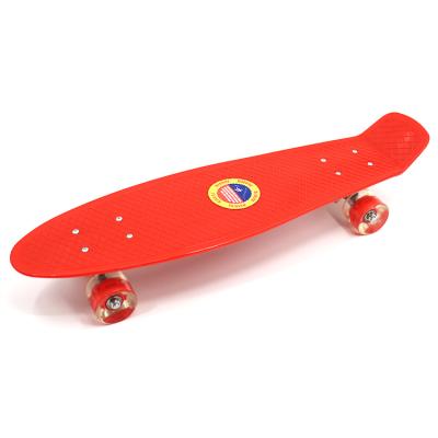 China Best Selling 22 Inch Panel Cruiser Factory Price Plastic Skateboard Fish Mini Deluxe Full Deck White With LED Big Wheel for sale