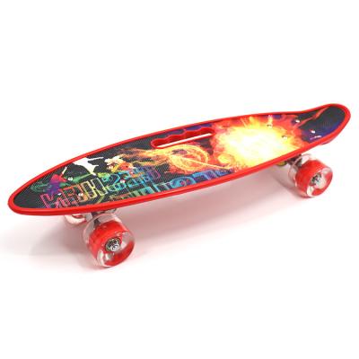 China 22 Inch Panel Cruiser Plastic Mini Skateboard Fish Easy Full Deck White With Big LED Wheel/Portable Skateboard for sale