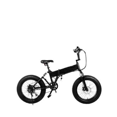 China Stable Brake 14inch Aluminum Alloy 48V 350W 25AH Long Range Electric Lithium Battery Ebike City Bike Foldable Mini Bike for sale