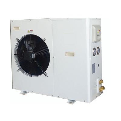 China Hotels R22 R404A Refrigeration Condensing Unit For Cold Room for sale