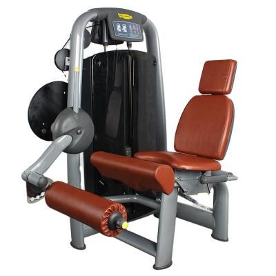 China Pin Load Selection Machines Sport Commercial Strength Equipment Gym Use BFT Training Leg Extension for sale