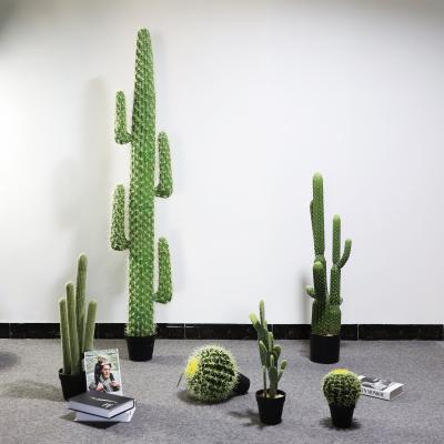 China Nature Look Use For Potted Artificial Garden Fake Plants Cactus for sale