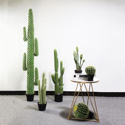 China Nature Looking Artificial Cactus Plants Home And Garden Green Forever Ball for sale