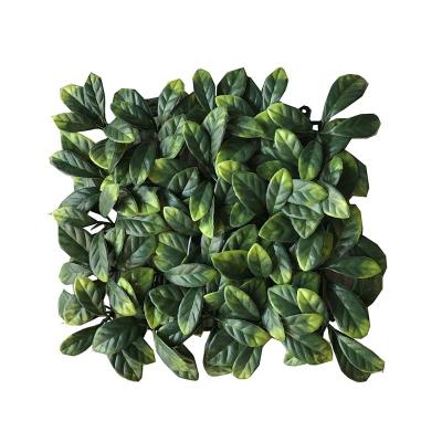 China UV Resistance 60X40cm Greenery Ficus Artificial Wall Panels Grass Artificial Turf Plants for sale