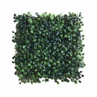 China UV resistance Flowerking wall plant plastic green wall/plastic artificial green grass boxwood hedge wall for sale